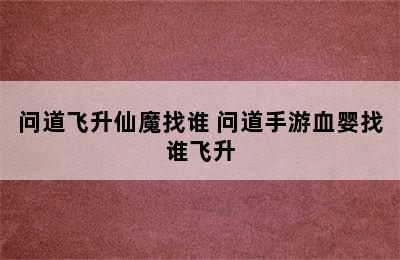 问道飞升仙魔找谁 问道手游血婴找谁飞升